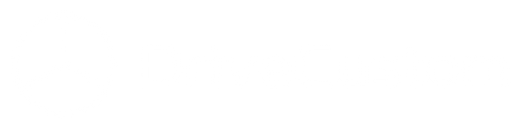 Drive Custom logo